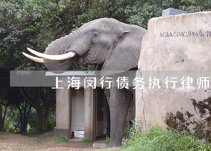 上海闵行债务执行律师 上海闵行债务执行律师