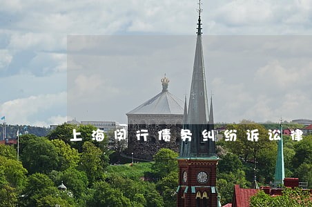 上海闵行债务纠纷诉讼律师 上海闵行债务纠纷诉讼律师