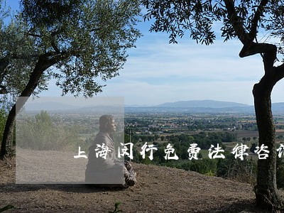 上海闵行免费法律咨询法斗士 上海闵行免费法律咨询法斗士