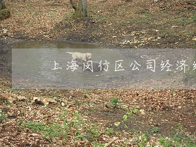 上海闵行区公司经济纠纷律师咨询 上海闵行区公司经济纠纷律师咨询