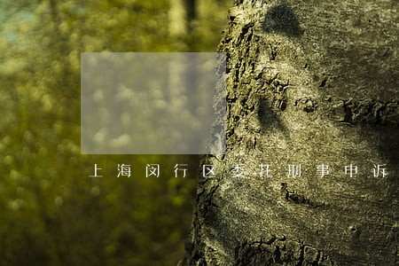 上海闵行区委托刑事申诉律师 上海闵行区委托刑事申诉律师
