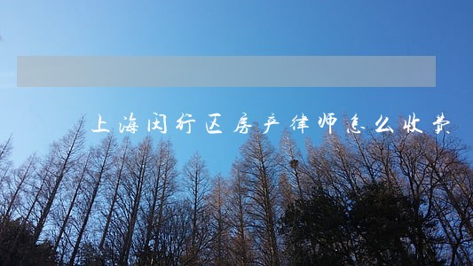 上海闵行区房产律师怎么收费 上海闵行区房产律师怎么收费