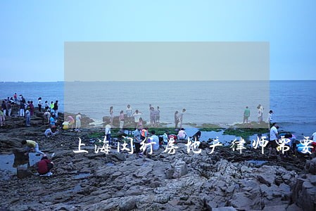 上海闵行房地产律师需要多少钱