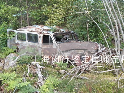 上海闵行鉴定律师流程