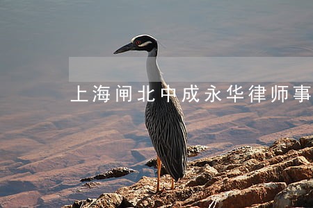上海闸北中成永华律师事务所 上海闸北中成永华律师事务所