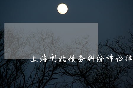 上海闸北债务纠纷诉讼律师 上海闸北债务纠纷诉讼律师