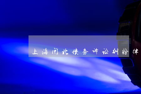 上海闸北债务诉讼纠纷律师 上海闸北债务诉讼纠纷律师