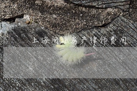 上海闸北房产律师费用 上海闸北房产律师费用