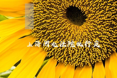 上海闸北法院执行庭 上海闸北法院执行庭