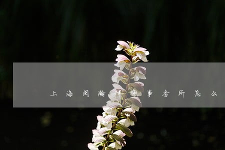 上海阅瀚律师事务所怎么 上海阅瀚律师事务所怎么