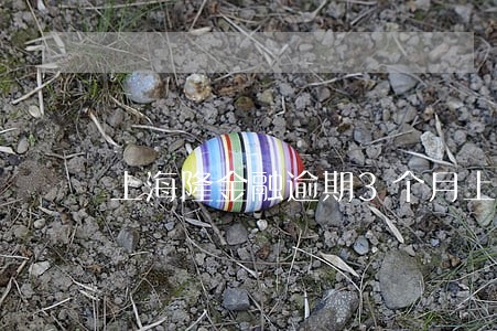 上海隆金融逾期3个月上不上征信 上海隆金融逾期3个月上不上征信