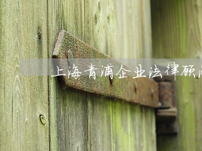 上海青浦企业法律顾问多少钱