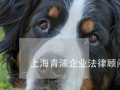 上海青浦企业法律顾问电话多少 上海青浦企业法律顾问电话多少