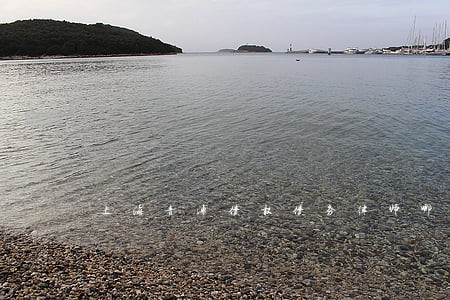 上海青浦债权债务律师哪个好 上海青浦债权债务律师哪个好