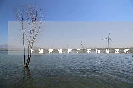 上海青浦区刑事拘留律师哪家好 上海青浦区刑事拘留律师哪家好