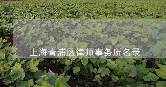 上海青浦区律师事务所名录 上海青浦区律师事务所名录