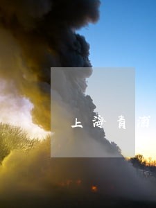 上海青浦区律师代执行案件价格 上海青浦区律师代执行案件价格