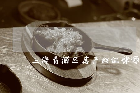 上海青浦区房产公证律师 上海青浦区房产公证律师
