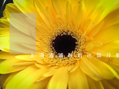 上海青浦区拆迁款分割律师哪家好