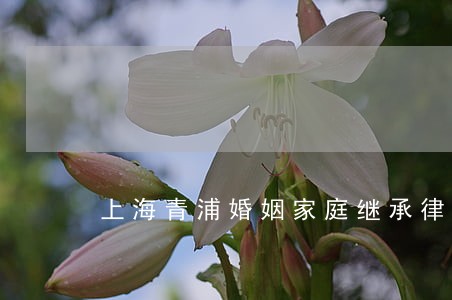 上海青浦婚姻家庭继承律师网站 上海青浦婚姻家庭继承律师网站