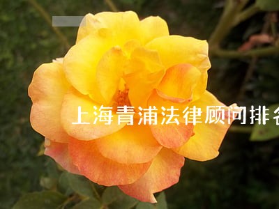 上海青浦法律顾问排名