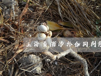 上海青浦涉外合同纠纷律师热线 上海青浦涉外合同纠纷律师热线