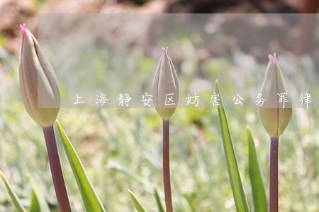 上海静安区妨害公务罪律师价格 上海静安区妨害公务罪律师价格
