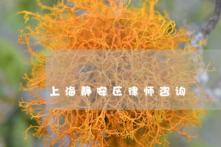 上海静安区律师咨询 上海静安区律师咨询