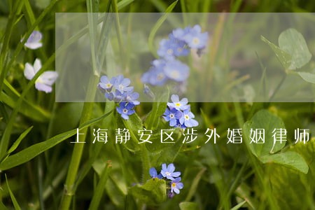 上海静安区涉外婚姻律师哪家正规 上海静安区涉外婚姻律师哪家正规