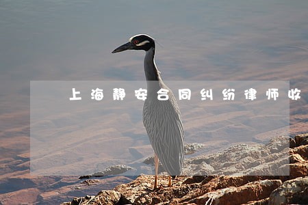 上海静安合同纠纷律师收费 上海静安合同纠纷律师收费
