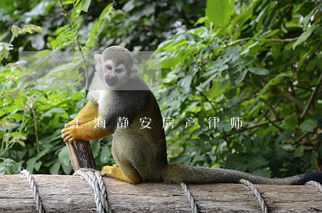 上海静安房产律师 上海静安房产律师