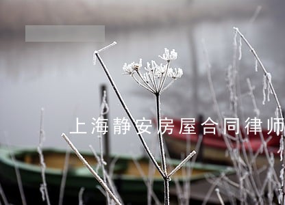 上海静安房屋合同律师流程 上海静安房屋合同律师流程