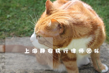 上海静安执行律师团队