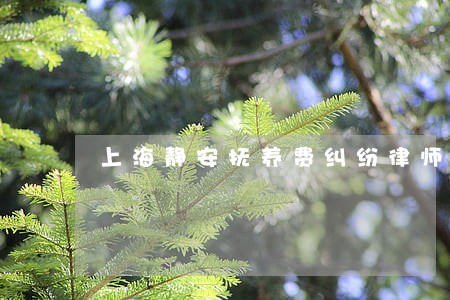 上海静安抚养费纠纷律师在线咨询 上海静安抚养费纠纷律师在线咨询