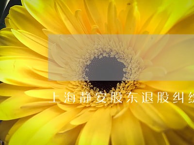 上海静安股东退股纠纷律师哪家好 上海静安股东退股纠纷律师哪家好