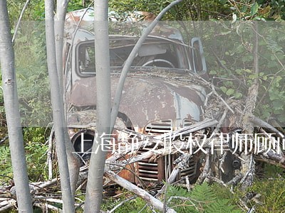 上海静安股权律师顾问排名 上海静安股权律师顾问排名