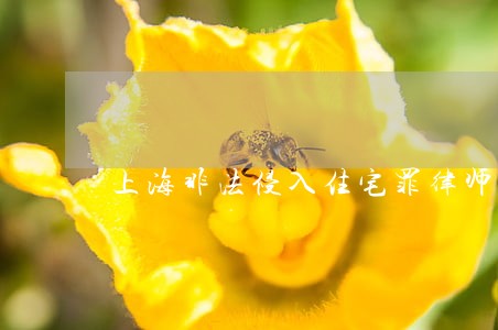 上海非法侵入住宅罪律师在线 上海非法侵入住宅罪律师在线