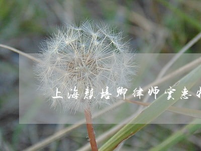 上海颜培卿律师实惠物美