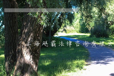 上海飓霸法律咨询有限公司 上海飓霸法律咨询有限公司