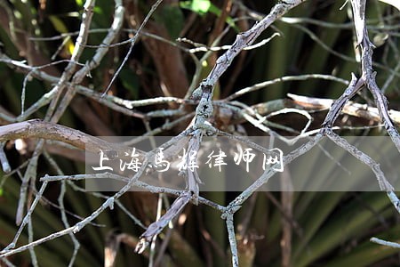 上海马辉律师网
