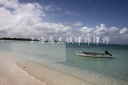 上海高太领律师律师