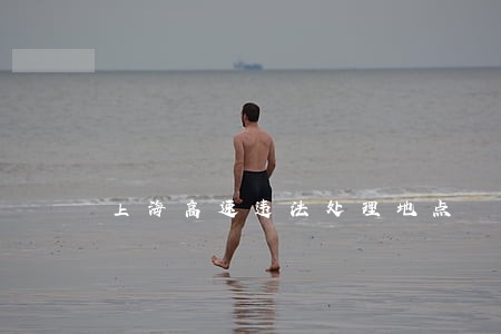 上海高速违法处理地点 上海高速违法处理地点