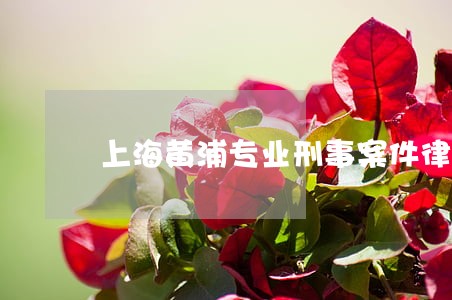 上海黄浦专业刑事案件律师 上海黄浦专业刑事案件律师