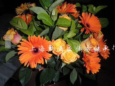 上海黄浦区债务继承律师排行 上海黄浦区债务继承律师排行
