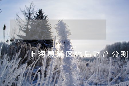 上海黄浦区婚后财产分割律师电话 上海黄浦区婚后财产分割律师电话