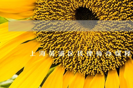 上海黄浦区找律师办保释 上海黄浦区找律师办保释