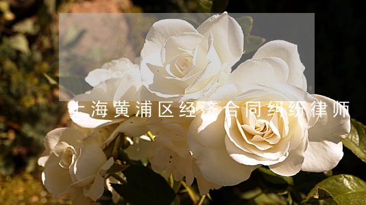 上海黄浦区经济合同纠纷律师 上海黄浦区经济合同纠纷律师