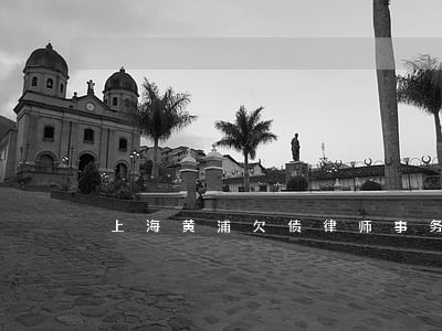 上海黄浦欠债律师事务所 上海黄浦欠债律师事务所