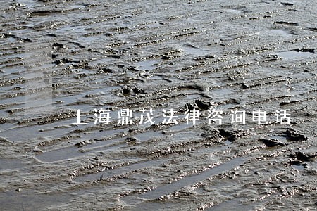 上海鼎茂法律咨询电话 上海鼎茂法律咨询电话