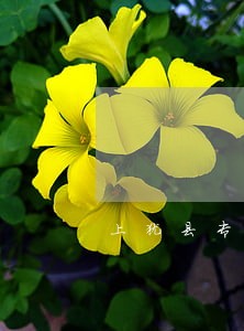 上犹县专业购销合同纠纷律师